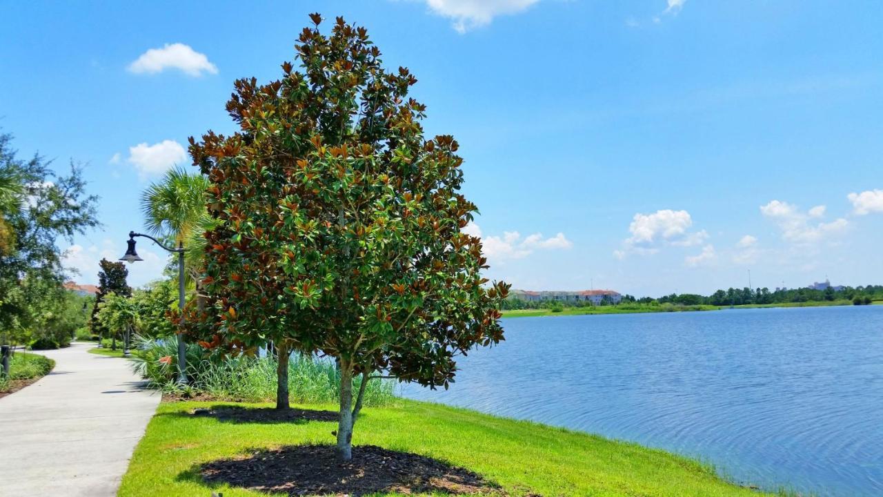 אורלנדו Ground-Floor Condo Next To Vista Cay Clubhouse And Pool! מראה חיצוני תמונה